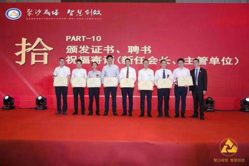 福建省信息技術(shù)咨詢服務行業(yè)協(xié)會會長陳維芳向全國人民拜新年