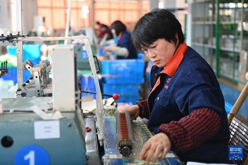 浙江嵊州 以專業咨詢服務為引擎，高質量推進工業經濟發展